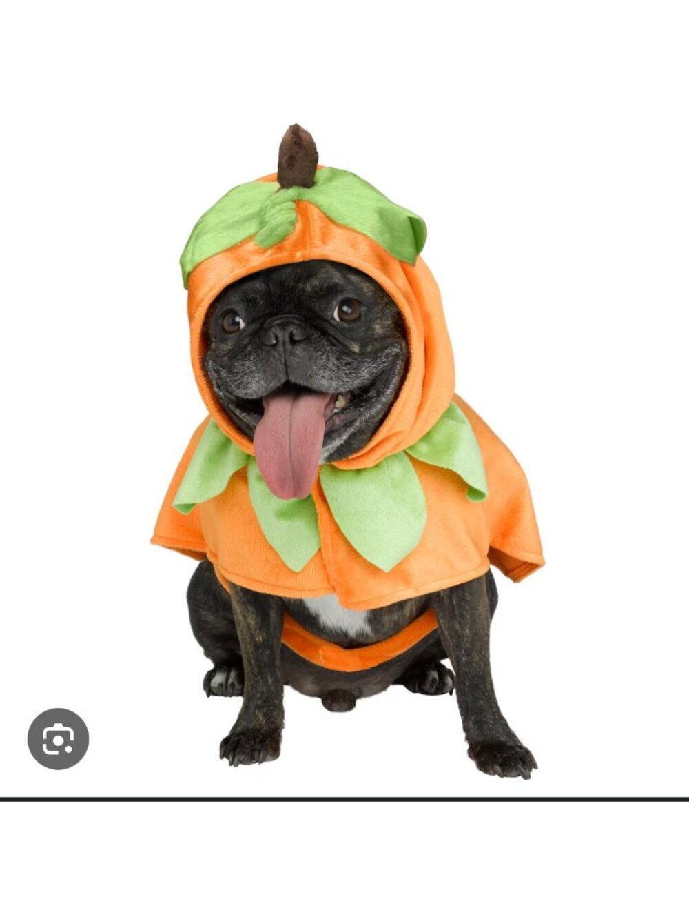 Dog Pumpkin Costume S/P Size Orange Green Soft Fabric Seasonal Outfit For Pets I
